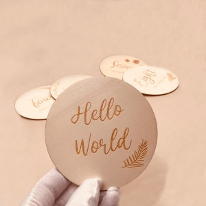 Baby Monthly Milestone Marker Discs, Reversible Photo Props, Baby Growth and Pregnancy Growth Cards, Wooden