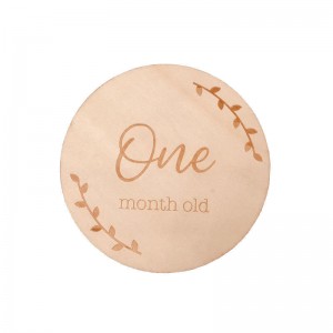 Baby Monthly Milestone Marker Discs, Reversible Photo Props, Baby Growth and Pregnancy Growth Cards, Wooden