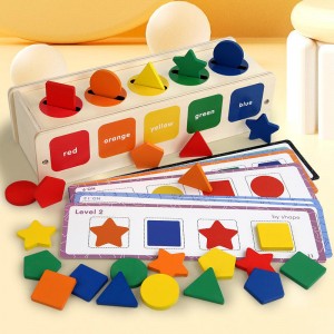 Montessori Toys Wooden Color Shape Sorting Box Game Geometric Matching Blocks Early Learning Educational Toy Gift for 3 4 5 Year-Old Baby Toddlers